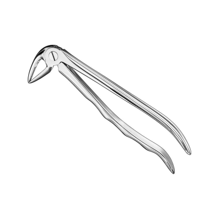 Extracting forceps, anat.